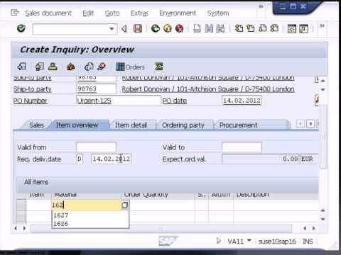 sap software overview